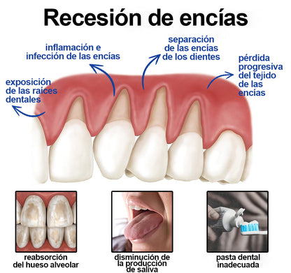 Guxar® VioCore Pasta Dental de Propóleo 🦷 Alivio del dolor dental en 3 días · Regeneración de las encías en 7 días · Prevención de la enfermedad periodontal · Combinación perfecta de veneno de abeja y minerales naturales 🌟