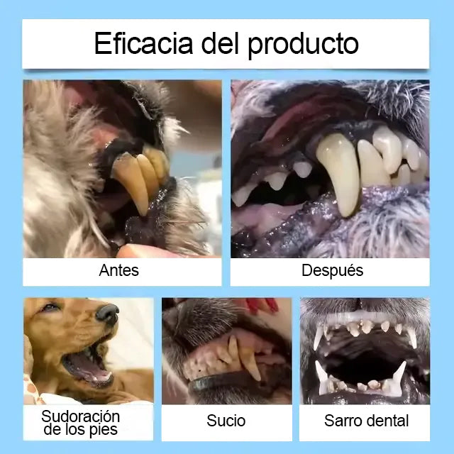 [🇪🇸 Tienda Oficial] Tainun® Líquido oral para el cuidado dental y digestivo de mascotas –  🐾✨ aliento fresco, ayuda a eliminar el sarro y apoya la regeneración de las encías y la estabilidad dental (para gatos y perros) – ¡Hoy con 70 % de descuento! 🐶🐱