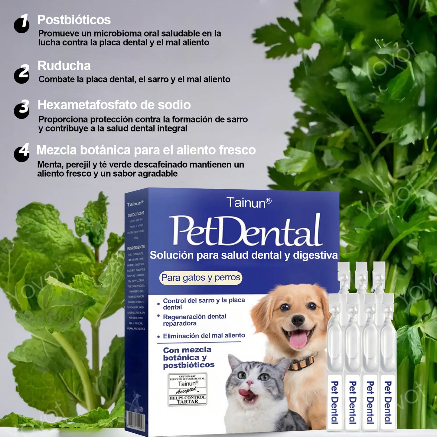 [🇪🇸 Tienda Oficial] Tainun® Líquido oral para el cuidado dental y digestivo de mascotas –  🐾✨ aliento fresco, ayuda a eliminar el sarro y apoya la regeneración de las encías y la estabilidad dental (para gatos y perros) – ¡Hoy con 70 % de descuento! 🐶🐱