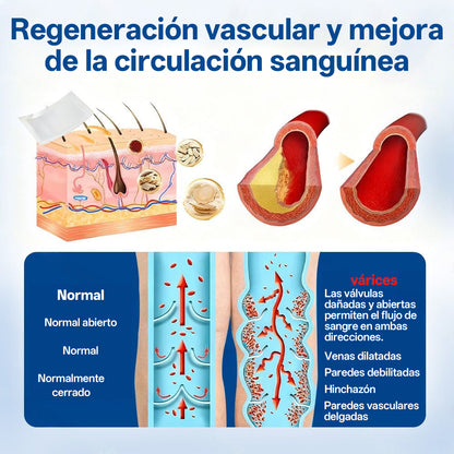 Tainun® VeinTarget Parche de Microagujas Herbal para las Venas 🌿 El primer parche de microagujas con hierbas alpinas certificado por la Unión Europea 🇪🇺 Clínicamente probado con una tasa de éxito de hasta el 96% 📊 Resultados visibles en 7–14 días 🔥🔥